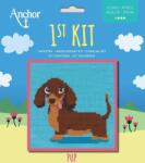 Anchor 1st Kit Cross Stitch Комплект за бродерия (3690000-20050)