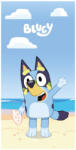 Mister Licence Bluey Ocean fürdőlepedő, strandtörölköző 70x140cm (Fast Dry) (FML358923)