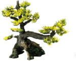 SuperFish | DECO BONSAI | Bonsai dekoráció - M