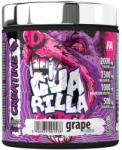 Guarilla Creatine Mix | 4 Forms of Creatine [300 грама] Dragon Fruit