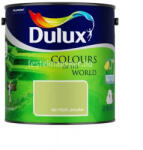 Dulux rejtőző leguán 2, 5L