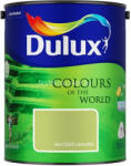 Dulux rejtőző leguán 5L