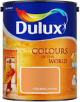 Dulux fűszeres jakvaj 5L