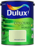 Dulux rügyező akácia 5L