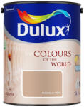 Dulux masala tea 5L