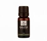 LUMANTE Eukaliptusz 10 ml