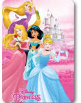  Disney Hercegnők Castle polár takaró 100x140cm