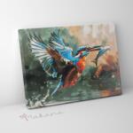 Makana Repülő vadász - Számfestő készlet, kerettel (40x50 cm)