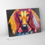 Makana Egy tacskó szemével - Számfestő készlet, kerettel (30x40 cm)