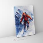 Makana Dacolva a hóval - Számfestő készlet, kerettel (40x50 cm)