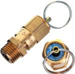  Supapă de Siguranță pentru Compresor cu Conector Filetat de 1/4", 11 Bar - Air Tek (TF2-100146)