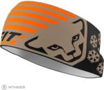 Dynafit Graphic Performance fejpánt, fallen rock (UNI)