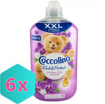 Coccolino Fresh&Protect öblítő 1, 750L Orchidea Viola&Mirtilli KARTON - 6 db (DA503XSZLAK8720181351594)