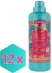Tesori d'Oriente öblítő szuper koncentrátum AYURVEDA illat 760 ml KARTON - 12 db (DA503XSZWYK8008970055244)