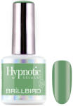 BrillBird TPO FREE Hypnotic HEMA Free Gel&Lac 4ml 264