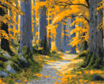 Alkotásutca Aranyerdő - Számfestő készlet kereten 40x50