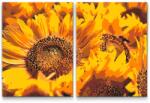  Festés számok szerint - Napraforgók (2 darab vászonkép) Méret: 30x40cm (2db), Keretezés: Kartonlemezen