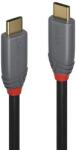 Lindy Cablu Lindy USB C-USB C, 2 m (Negru)