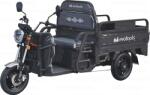 Evotools Triciclu Electric Cargo TRCC1000, putere maxima 2000W, 60V/45Ah, Autonomie 72 km, 520 kg, viteza maxima de 25 km/h, conform reglementarilor UE, fara permis (683225)