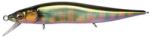 Megabass VISION ONETEN SUSPEND 110.5mm 14gr WAGIN OIKAWA M (MB432507) - plazaweb