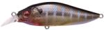 Megabass FLAP SLAP LBO 77mm 12.2gr AL EVENING GILL (MB453564) - plazaweb