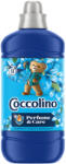 Coccolino öblítőkoncentrátum Passion Flower&Bergamot - 1275ml