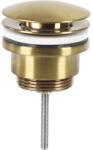 Differnz Ventil Push-Open 1 1/4" auriu mat (30.413.19)