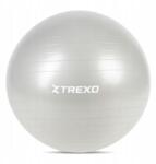 Xtrexo Gimnasztikai labda Xtrexo 75cm szürke Sokoldalú Tartós Fitnesz Edzés (TXO-B4Z009-GY)