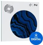 iZotope Ozone 12 Elements (Digitális termék)