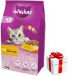 Whiskas WHISKAS Száraz macskatáp 1+ csirkével 7kg + ingyenes macska meglepetés