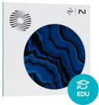 iZotope Ozone 12 Elements EDU (Produs digital)