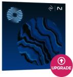 iZotope Ozone 12 Advanced: UPG from Ozone Ele or Ele Suite (Produs digital)