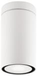 Nova Luce Plafoniera CERISE Alb Aluminiu turnat Aluminiu & Sticla Diffuser GU10 1x35 Wat 220-240 Volt 50Hz -IP54 (NV9040021)