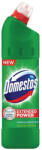Domestos 750ml Verde