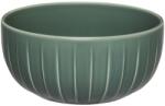 Ambition Bol mare 20cm, verde, Ligne (75027) Castron