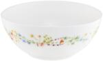 Ambition Bol mic 14cm, sticla opal, Bloom (42886) Castron