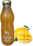Anyukám kedvence Rostos mangó szörp 500 ml