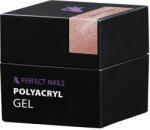 Perfect Nails Perfect PolyAcryl Gel - Polygel Rose Glitter 50g (PNZ4132)