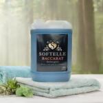 Fragrances 4 All Distrib Detergent Baccarat pentru rufe albe si colorate