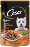 Cesar Chicken and vegetable stew 24x100 g