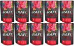 RAFI Adult beef, blueberries and cranberries 10x300 g