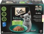 Sheba alutasakos macskaeledel 12x85g kitten mix