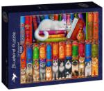 Bluebird Puzzle 1000 db-os puzzle - Cat Bookshelf (90217) (90217)