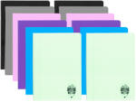 DACO Set 12 caiete tip 2 Daco CT522, 24 file, 100 g/mp, coperta plastic, Culori asortate (CT522-12)