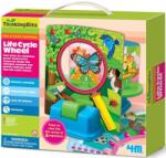 4M Kit educațional 4M - Ciclul de viață (4m-04693)