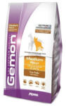 Gemon Dog Regular Chicken-Rice - 20 kg