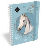 Lizzy Card Határidőnapló LIZZY CARD B/6 heti spirálozott gumis Wild beuty sport club 2026 (21586) - papir-bolt