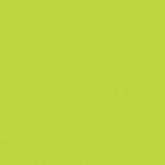 POL-MAK Kivi zöld Maki szalvéta 20 db-os 33x33 cm (PKK010871)