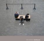 Gorgun, Ipek Earthbound