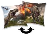 Max-Fashion Kft Jurassic World Volcano párna, díszpárna 40x40 cm (JFK027318)